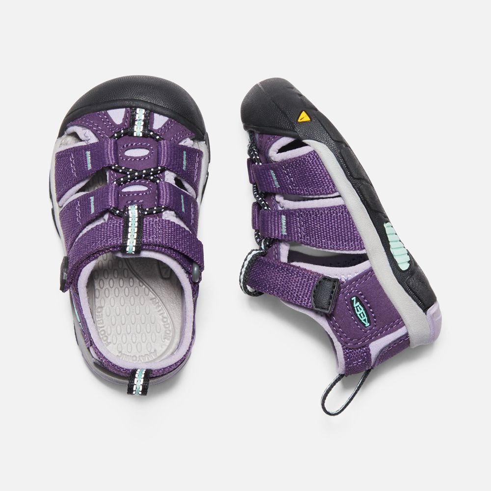 Sandalias Keen Mexico Morados - Niños Newport H2 - MF7295143